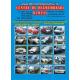 parc-dezmembrari-auto-Bacau-SC.BIB-TRANS-SRL-148.htm